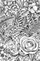 Picture of Detailed Floral Sketch _GroupedProduct_Rectangle_Portrait_Unframed_Print_Only_