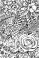 Picture of Detailed Floral Sketch _GroupedProduct_Rectangle_Portrait_Unframed_Print_Only_
