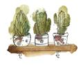 Picture of Splashed Cactus II  _GroupedProduct_Rectangle_Landscape_Unframed_Print_Only_