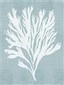 Picture of Coral Leaves II _GroupedProduct_Rectangle_Portrait_Unframed_Print_Only_
