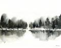 Picture of Misty Forest Black  _GroupedProduct_Rectangle_Landscape_Unframed_Print_Only_