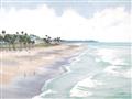 Picture of Sanibel _GroupedProduct_Rectangle_Landscape_Unframed_Print_Only_