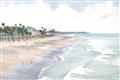 Picture of Sanibel _GroupedProduct_Rectangle_Landscape_Unframed_Print_Only_