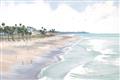 Picture of Sanibel _GroupedProduct_Rectangle_Landscape_Unframed_Print_Only_