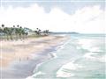 Picture of Sanibel _GroupedProduct_Rectangle_Landscape_Unframed_Print_Only_