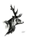 Picture of Sketched Deer side  _GroupedProduct_Rectangle_Portrait_Unframed_Print_Only_