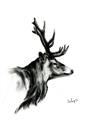 Picture of Sketched Deer side  _GroupedProduct_Rectangle_Portrait_Unframed_Print_Only_