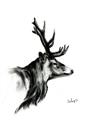 Picture of Sketched Deer side  _GroupedProduct_Rectangle_Portrait_Unframed_Print_Only_