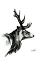 Picture of Sketched Deer side  _GroupedProduct_Rectangle_Portrait_Unframed_Print_Only_
