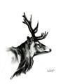 Picture of Sketched Deer side  _GroupedProduct_Rectangle_Portrait_Unframed_Print_Only_
