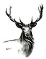 Picture of Sketched Deer  _GroupedProduct_Rectangle_Portrait_Unframed_Print_Only_