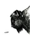 Picture of Sketched Bison _GroupedProduct_Rectangle_Portrait_Unframed_Print_Only_