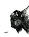 Picture of Sketched Bison _GroupedProduct_Rectangle_Portrait_Unframed_Print_Only_