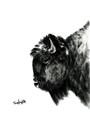 Picture of Sketched Bison _GroupedProduct_Rectangle_Portrait_Unframed_Print_Only_