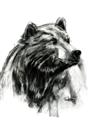 Picture of Sketched Bear _GroupedProduct_Rectangle_Portrait_Unframed_Print_Only_