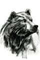 Picture of Sketched Bear _GroupedProduct_Rectangle_Portrait_Unframed_Print_Only_