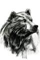 Picture of Sketched Bear _GroupedProduct_Rectangle_Portrait_Unframed_Print_Only_