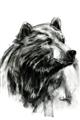 Picture of Sketched Bear _GroupedProduct_Rectangle_Portrait_Unframed_Print_Only_