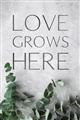 Picture of Love grows here _GroupedProduct_Rectangle_Portrait_Unframed_Print_Only_