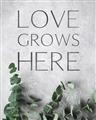 Picture of Love grows here _GroupedProduct_Rectangle_Portrait_Unframed_Print_Only_