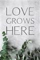 Picture of Love grows here _GroupedProduct_Rectangle_Portrait_Unframed_Print_Only_