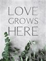 Picture of Love grows here _GroupedProduct_Rectangle_Portrait_Unframed_Print_Only_
