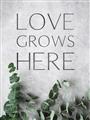 Picture of Love grows here _GroupedProduct_Rectangle_Portrait_Unframed_Print_Only_