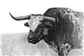 Picture of Big Cattle  _GroupedProduct_Rectangle_Landscape_Unframed_Print_Only_