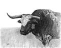 Picture of Big Cattle  _GroupedProduct_Rectangle_Landscape_Unframed_Print_Only_