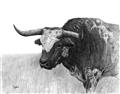 Picture of Big Cattle  _GroupedProduct_Rectangle_Landscape_Unframed_Print_Only_