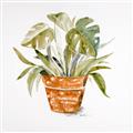 Picture of Palm Plant _GroupedProduct_Square_Unframed_Print_Only_