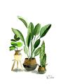 Picture of House Plants I  _GroupedProduct_Rectangle_Portrait_Unframed_Print_Only_