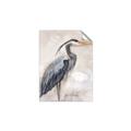 Picture of Blue Egret _GroupedProduct_Rectangle_Portrait_Unframed_Print_Only_