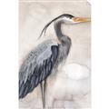 Picture of Blue Egret _GroupedProduct_Rectangle_Portrait_Unframed_Print_Only_