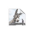 Picture of Donkey time _GroupedProduct_Square_Unframed_Print_Only_