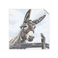Picture of Donkey time _GroupedProduct_Square_Unframed_Print_Only_