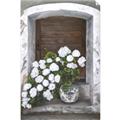Picture of Window bloom _GroupedProduct_Rectangle_Portrait_Unframed_Print_Only_