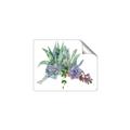Picture of Succulent Group _GroupedProduct_Rectangle_Landscape_Unframed_Print_Only_