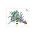 Picture of Succulent Group _GroupedProduct_Rectangle_Landscape_Unframed_Print_Only_