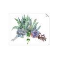 Picture of Succulent Group _GroupedProduct_Rectangle_Landscape_Unframed_Print_Only_