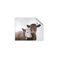 Picture of Cow buddies _GroupedProduct_Rectangle_Landscape_Unframed_Print_Only_