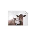 Picture of Cow buddies _GroupedProduct_Rectangle_Landscape_Unframed_Print_Only_