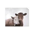 Picture of Cow buddies _GroupedProduct_Rectangle_Landscape_Unframed_Print_Only_