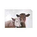Picture of Cow buddies _GroupedProduct_Rectangle_Landscape_Unframed_Print_Only_