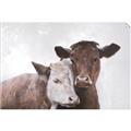 Picture of Cow buddies _GroupedProduct_Rectangle_Landscape_Unframed_Print_Only_