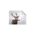 Picture of Reindeer _GroupedProduct_Rectangle_Landscape_Unframed_Print_Only_