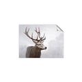 Picture of Reindeer _GroupedProduct_Rectangle_Landscape_Unframed_Print_Only_