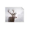 Picture of Reindeer _GroupedProduct_Rectangle_Landscape_Unframed_Print_Only_