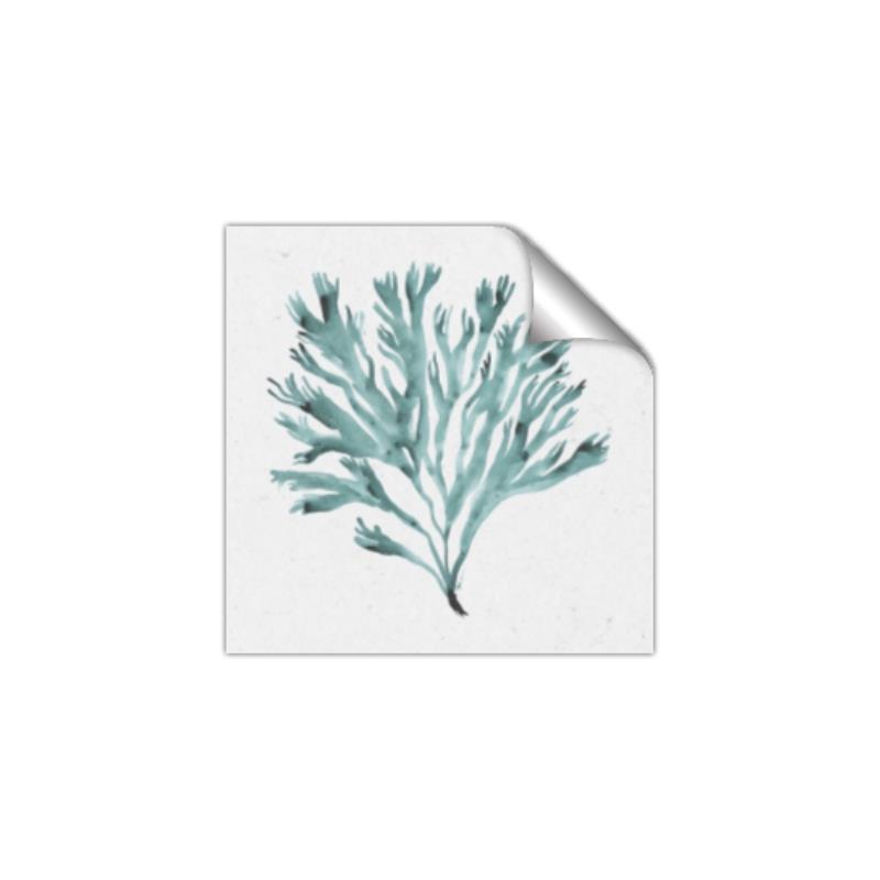 Picture of Teal Coral II  _GroupedProduct_Square_Unframed_Print_Only_