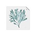Picture of Teal Coral II  _GroupedProduct_Square_Unframed_Print_Only_
